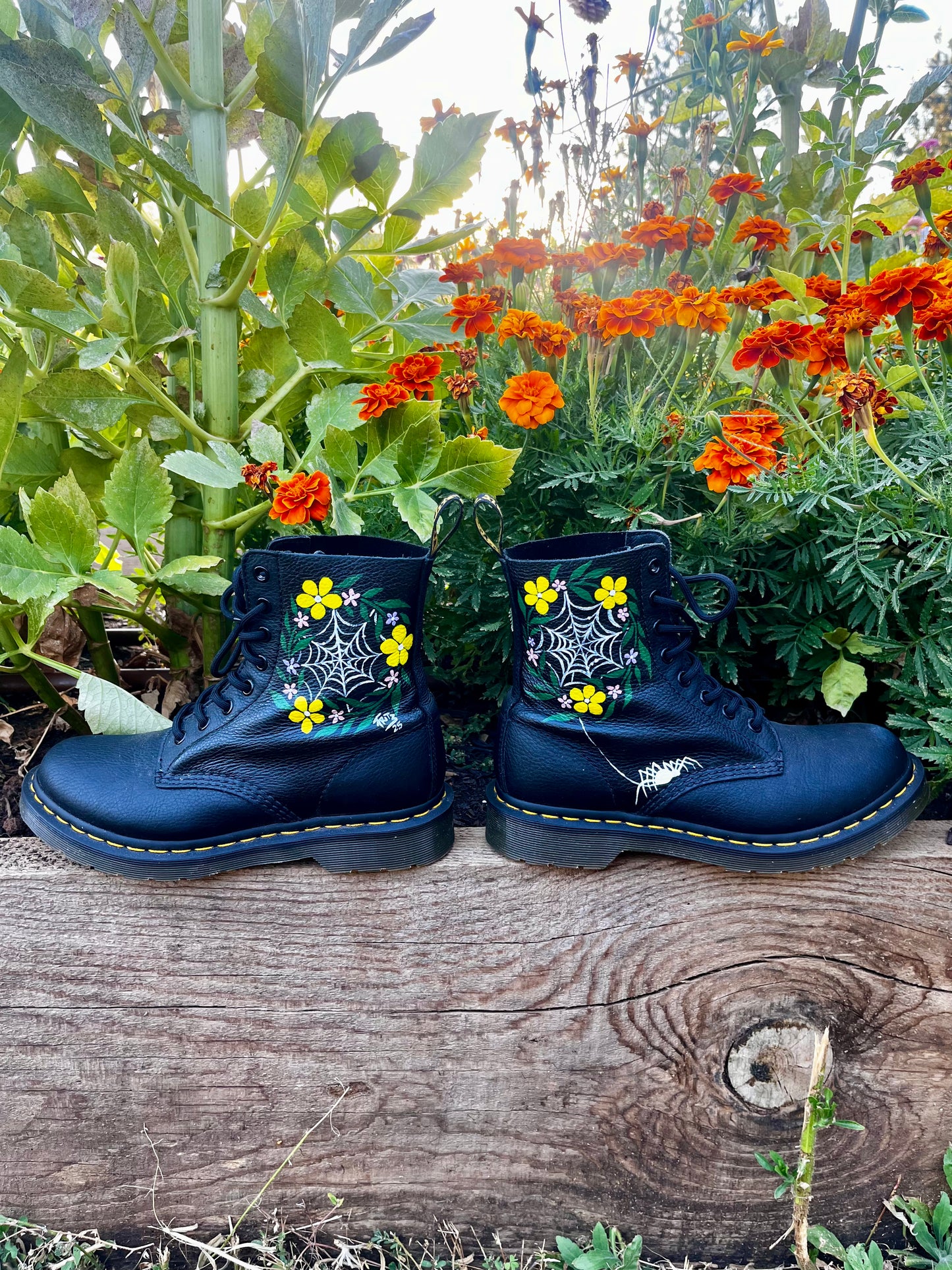 SPIDER IN THE GARDEN DOCS