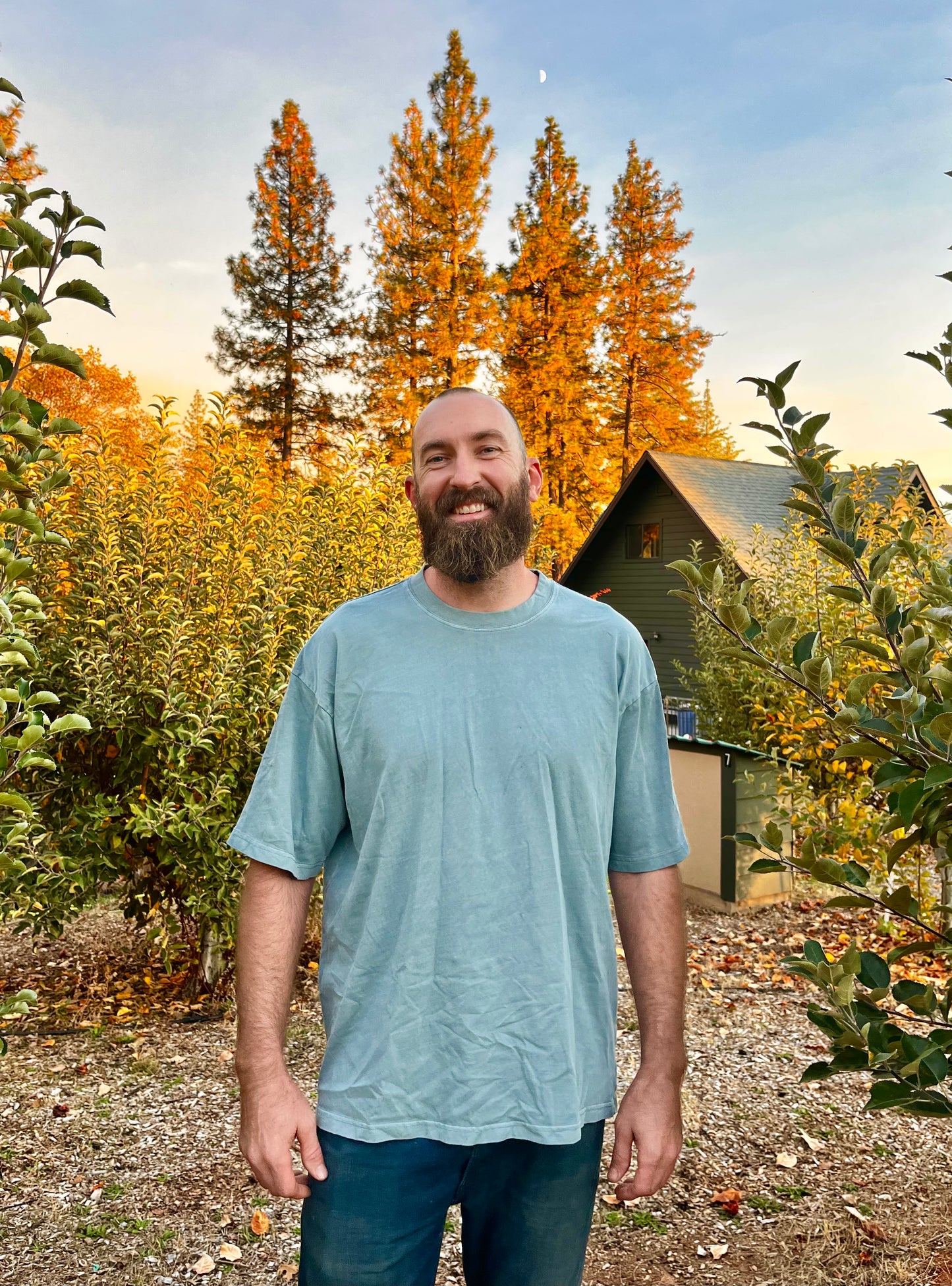 Mountain & Moon Tee in Dusty Blue