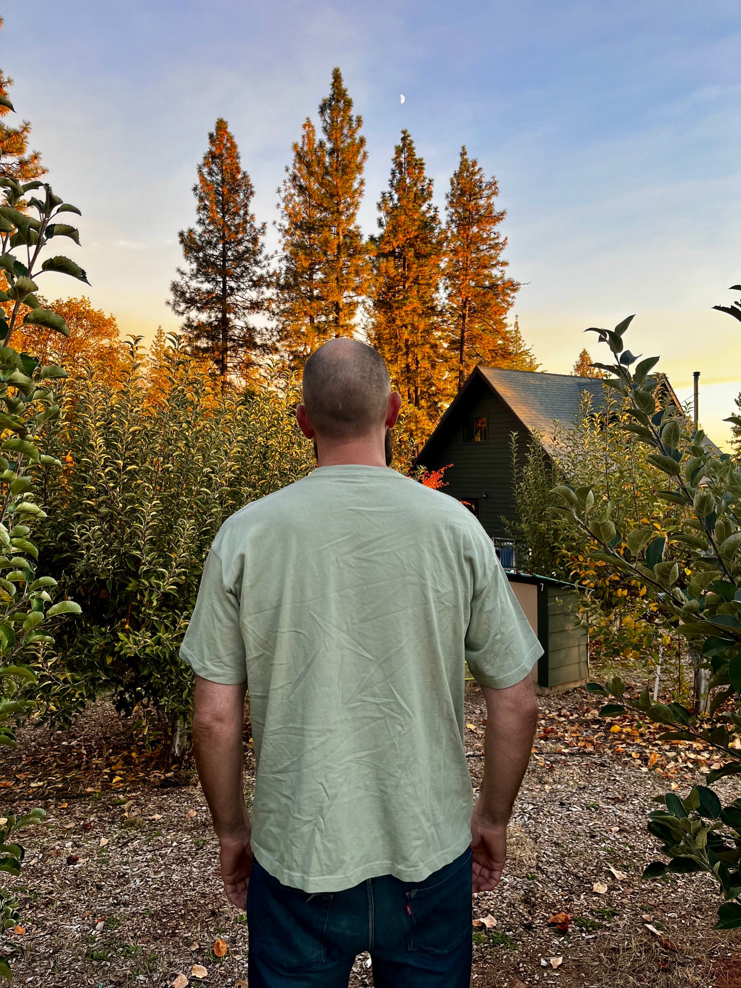 Stillness Tee in Sage Green