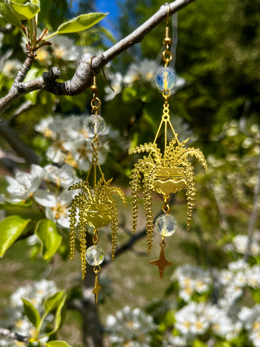 Ferns