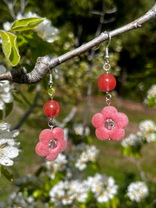 Pink Spring Daisies